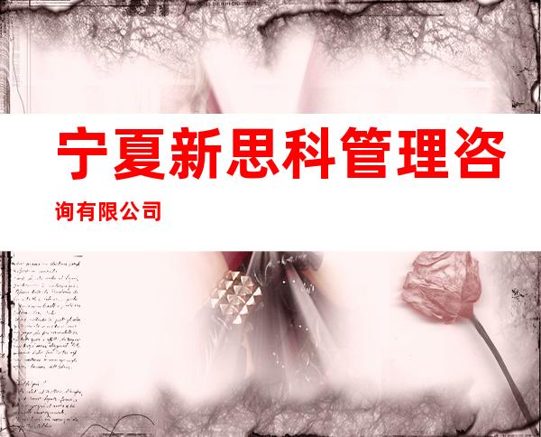 宁夏新思科管理咨询有限公司